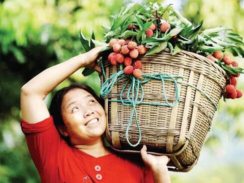 聚焦重点项目丨合江，手握乡村振兴“密码”(图5)