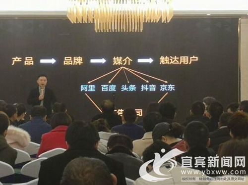 宜宾市“南江长半小时经济圈”发展峰会举行(图1)
