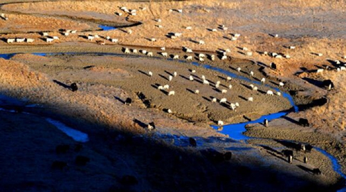 格桑花开满天路—写在川藏公路通车65周年之际(图16) 格桑花开满天路—写在川藏公路通车65周年之际(图16)