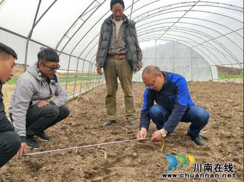 泸县干部真情援藏树形象 乡城不远千里来慰问(图5) 泸县干部真情援藏树形象 乡城不远千里来慰问(图5)