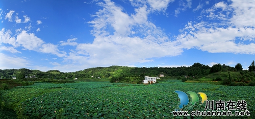 泸州市江阳区泰安街道“山色荷园·咀阳荷花”摄影大赛评选揭晓(图2) 泸州市江阳区泰安街道“山色荷园·咀阳荷花”摄影大赛评选揭晓(图2)