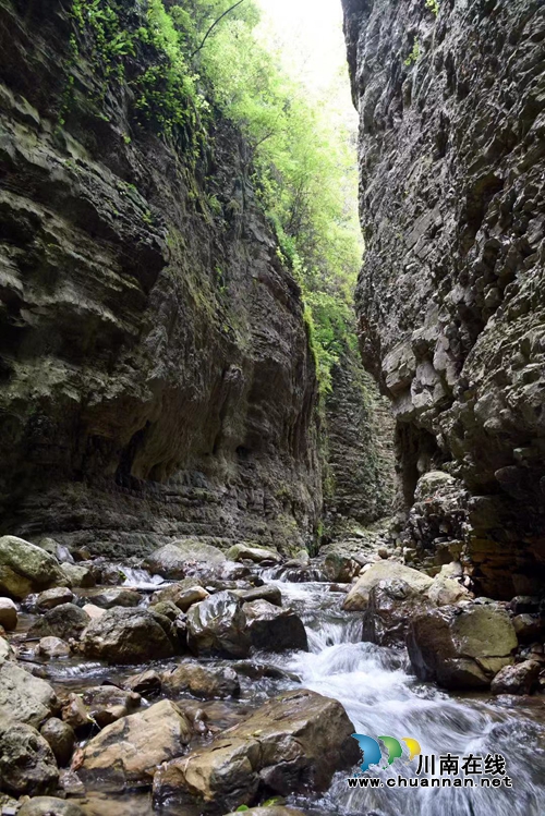 陈大刚：茶叶尖上的马嘶(图2)