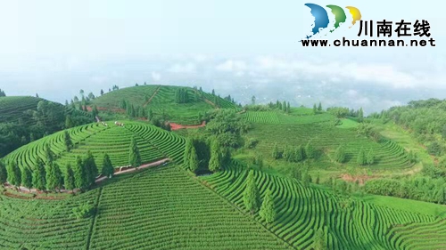 徐潋：“红桔诗人”元刚的乡情歌词(图5)