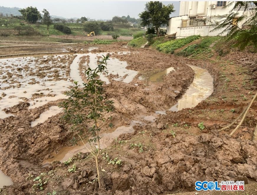 泸州江阳区：村民党员成化解矛盾的“手”