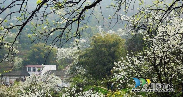 泸州26处乡村入选第一批国家森林乡村