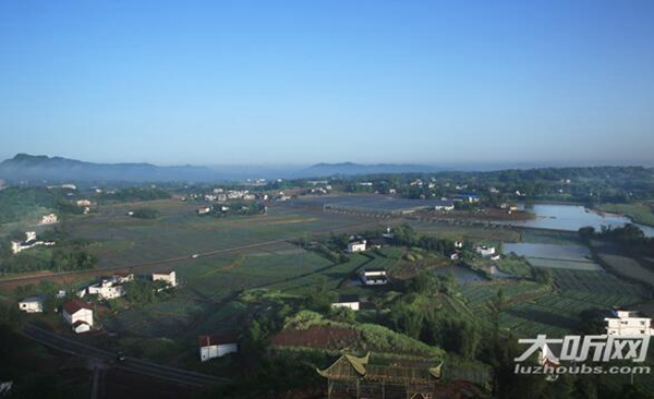 泸州命名一批星级现代农业园 获补助1000万元