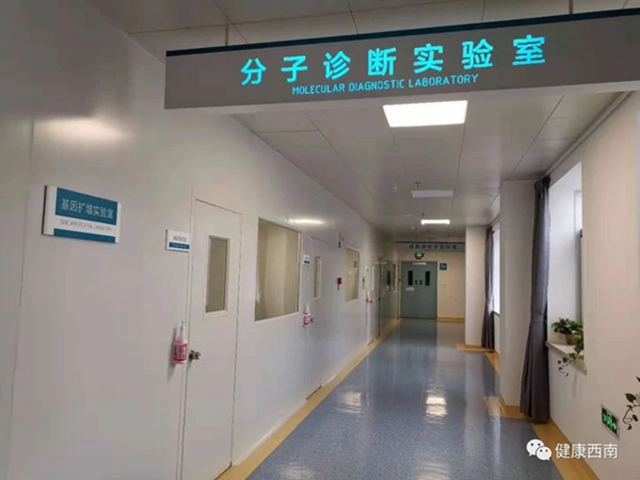 【直击】4小时左右可出检测结果 西南医科大学附属医院新冠状病毒检测实验室日检测最大能力360人份(图1)