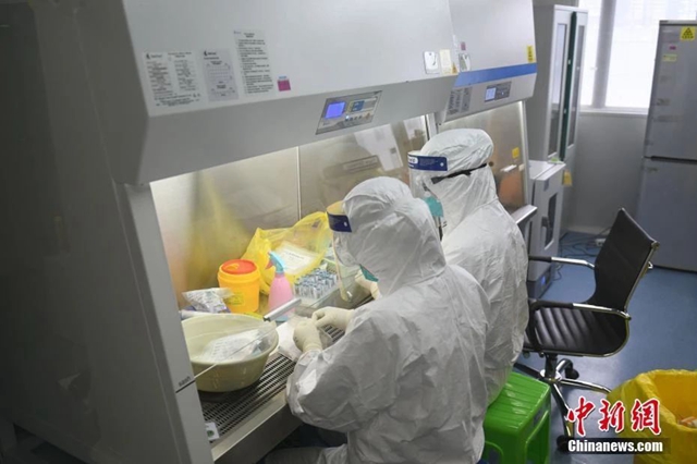 九问新型冠状病毒：新病毒比SARS“狡猾”在哪儿？(图4)