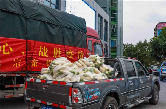 龙马潭：2万斤爱心蔬菜助力家乡抗疫(图3)