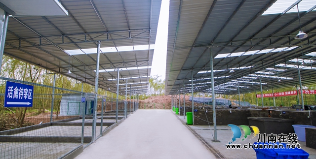 龙马潭区临时活禽集中屠宰场建成投用 日屠宰量达5000余只(图3)