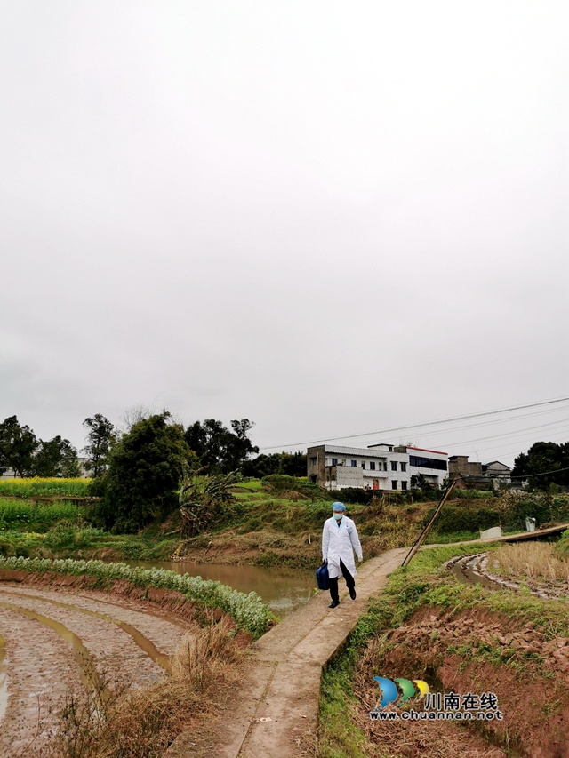泸县玄滩:乡村医生守卫村民健康 做百姓信赖的“白衣战士”(图2) 泸县玄滩镇乡村医生陈波:有诺必践,守卫好村民的健康(图2)