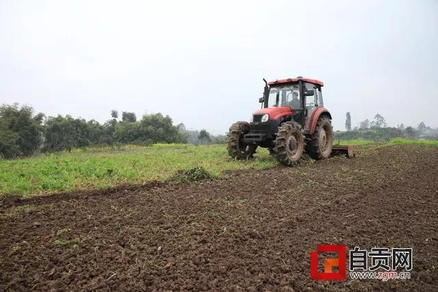 自贡:明确稳增长十大任务 研究适时重启第26届灯会(图2) 自贡:明确稳增长十大任务 研究适时重启第26届灯会(图2)