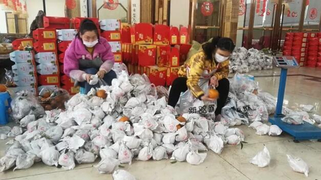 痛心！宜宾这里百万斤柑橘滞销！“求带走！”(图9)