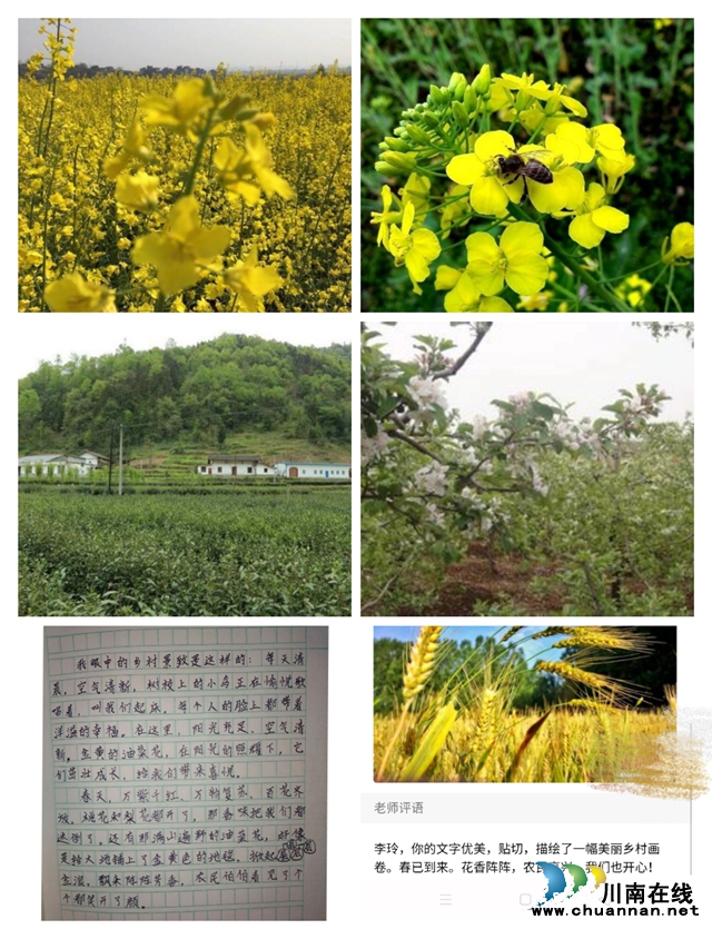 泸县城北小学校教师庞华:温暖的“百变超人”(图4) 泸县城北小学校教师庞华:温暖的“百变超人”(图4)