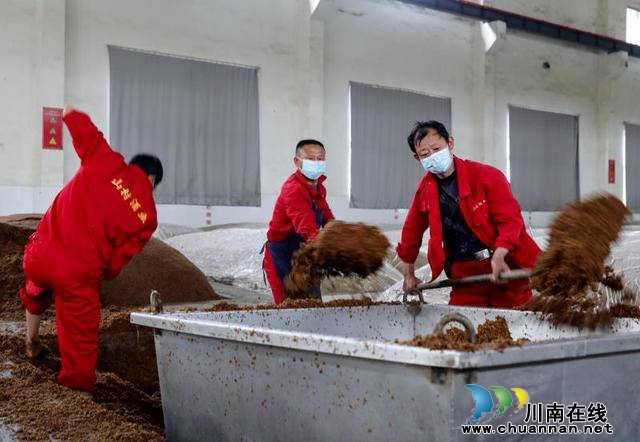 江阳区第一家区属酒类企业复工复产(图3)