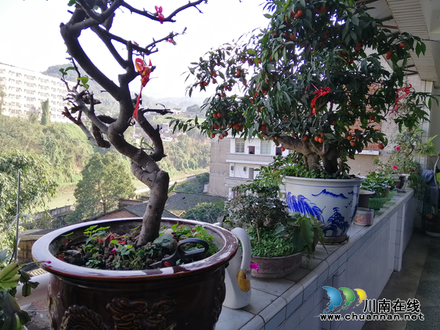 抗“疫”使命，泸州市评协继续在行动—— 部分会员作品选编（总第10期）(图5)