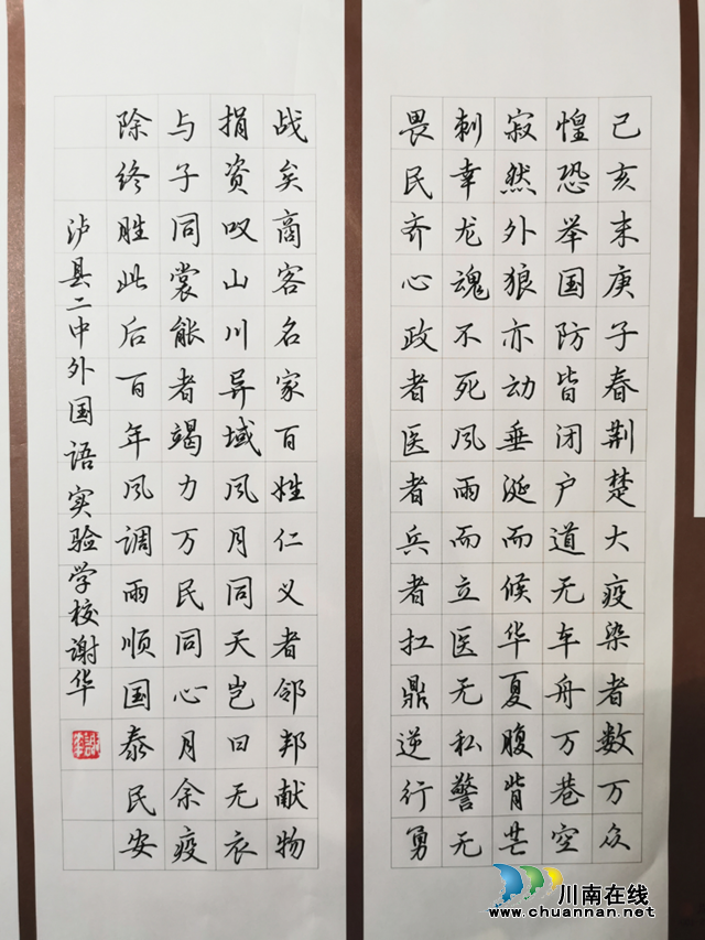 抗“疫”使命，泸州市评协继续在行动—— 部分会员选编（总第10期）(图11)