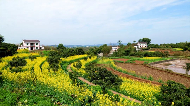 再访双加，悲伤而艰难地自愈(图2)