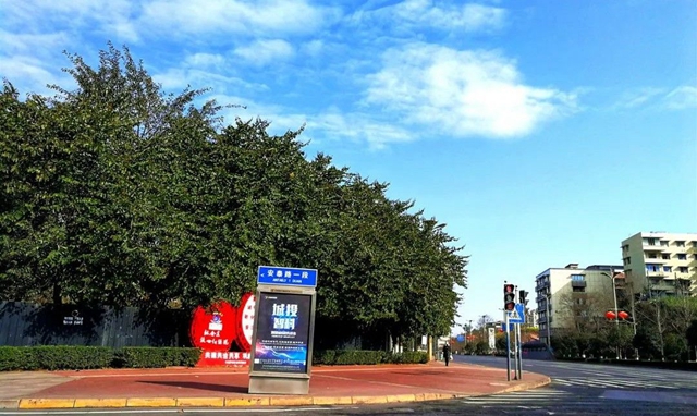 再访双加，悲伤而艰难地自愈(图3)