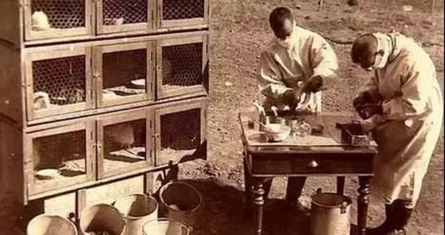 鼠疫往事：国士无双伍连德(图3)