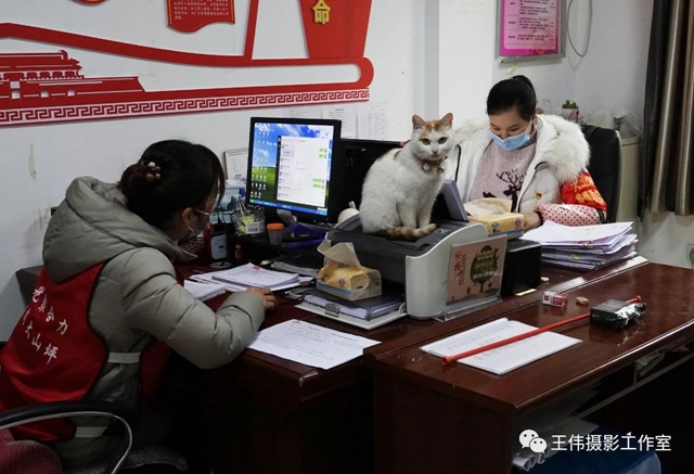 泸州王伟纪实摄影《抗疫中的准妈妈书记》赏析(图4)
