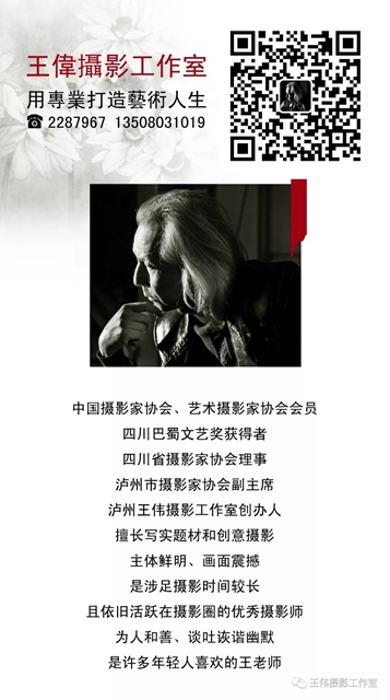泸州王伟纪实摄影《抗疫中的准妈妈书记》赏析(图14)