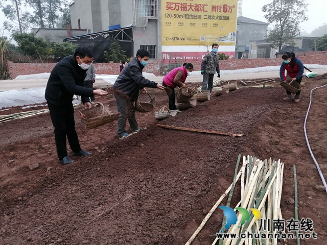 泸县潮河镇:二月春耕忙,播种新希望(图1) 泸县潮河镇:二月春耕忙,播种新希望(图1)