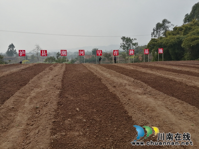 泸县潮河镇:二月春耕忙,播种新希望(图4) 泸县潮河镇:二月春耕忙,播种新希望(图4)