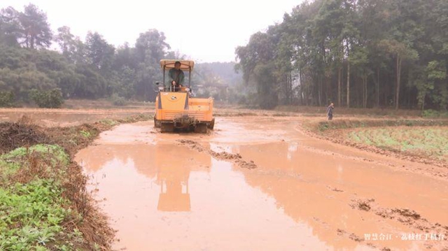 合江县种粮大户胡万超:抢抓时令耕地忙(图1) 合江县种粮大户胡万超:抢抓时令耕地忙(图1)