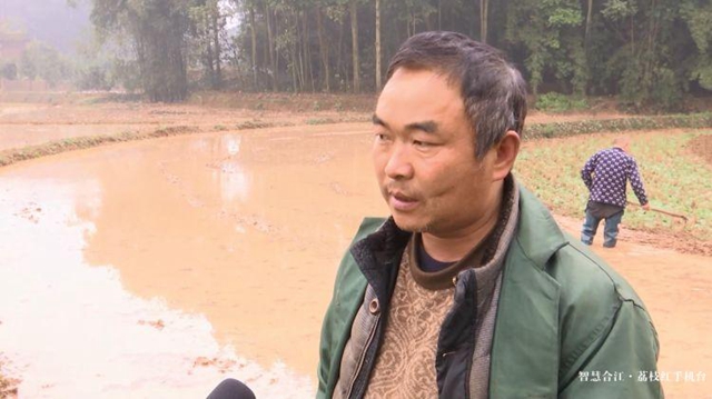 合江县种粮大户胡万超:抢抓时令耕地忙(图2) 合江县种粮大户胡万超:抢抓时令耕地忙(图2)