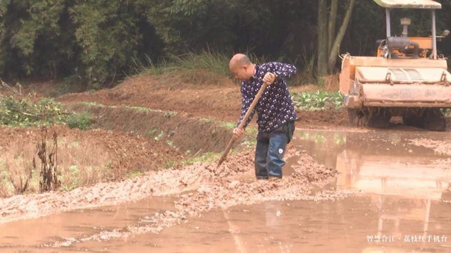合江县种粮大户胡万超:抢抓时令耕地忙(图3) 合江县种粮大户胡万超:抢抓时令耕地忙(图3)