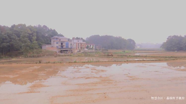 合江县种粮大户胡万超:抢抓时令耕地忙(图5) 合江县种粮大户胡万超:抢抓时令耕地忙(图5)