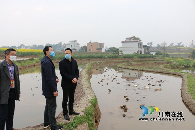 张福荣到泸县潮河镇督导疫情防控、脱贫攻坚等重点工作(图1)