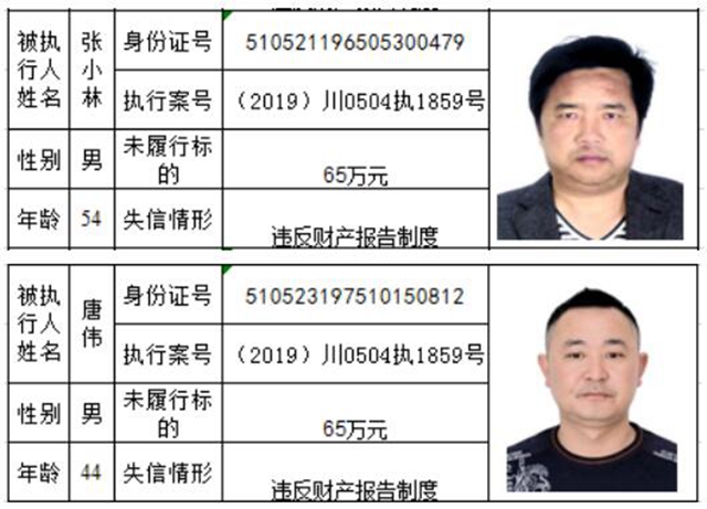 老赖哪里跑！泸州市龙马潭区人民法院曝光2020年第一批失信名单(图21)