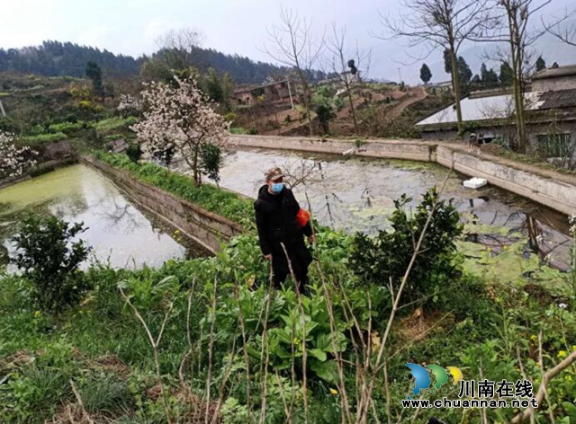 古蔺县:禁种铲毒正当时 防疫春耕两不“误”(图1) 古蔺县:禁种铲毒正当时 防疫春耕两不“误”(图1)