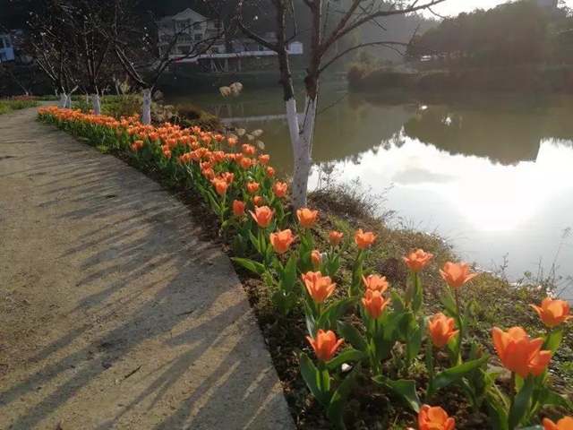 2月29日起,宜宾这些A级景区恢复开园!前往游玩有这些要求(图3) 2月29日起,宜宾这些A级景区恢复开园!前往游玩有这些要求(图3)