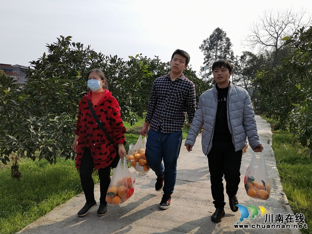 泸县龙马祠专业合作社邀请你品尝果子购买苗子(图1) 泸县龙马祠专业合作社邀请你品尝果子购买苗子(图1)