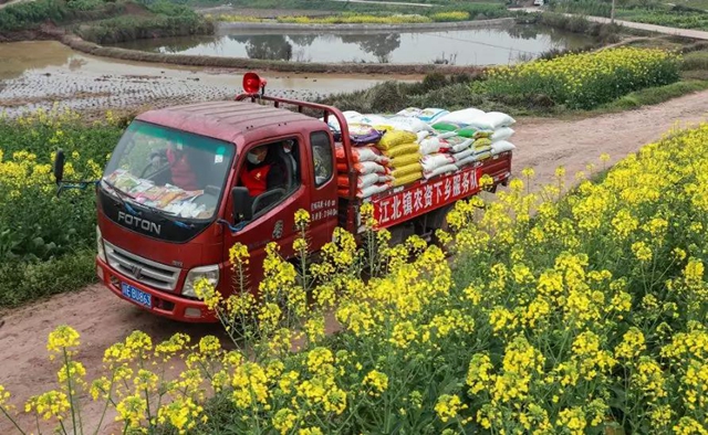 当好“保姆”+“保镖”,江阳全力以“复”(图13) 当好“保姆”+“保镖”,江阳全力以“复”(图13)