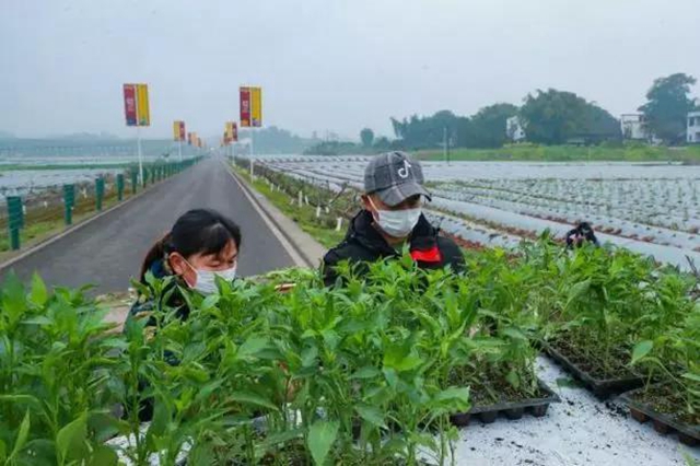 当好“保姆”+“保镖”,江阳全力以“复”(图14) 当好“保姆”+“保镖”,江阳全力以“复”(图14)