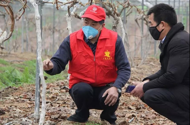 当好“保姆”+“保镖”,江阳全力以“复”(图15) 当好“保姆”+“保镖”,江阳全力以“复”(图15)