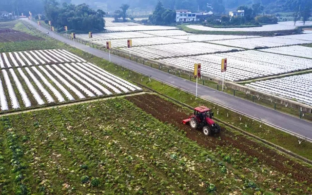 当好“保姆”+“保镖”,江阳全力以“复”(图11) 当好“保姆”+“保镖”,江阳全力以“复”(图11)