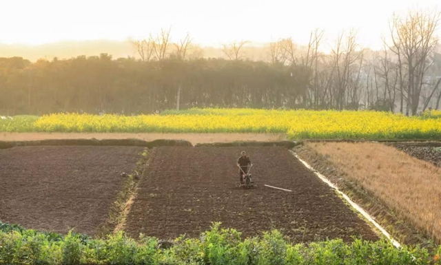 当好“保姆”+“保镖”,江阳全力以“复”(图17) 当好“保姆”+“保镖”,江阳全力以“复”(图17)