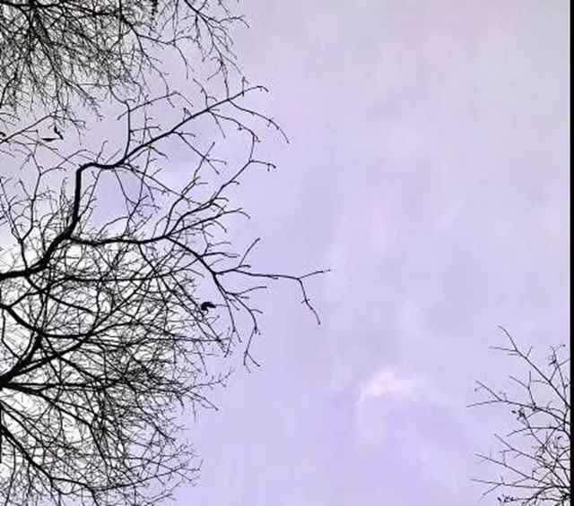 【西南医大中医院•关注】疫情之下!肺癌晚期再次多处转移(图6) 【西南医大中医院•关注】疫情之下!肺癌晚期再次多处转移(图6)