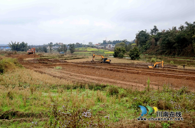 龙马潭区：忙施工 抢农时 强力推进高标准农田建设项目(图4)