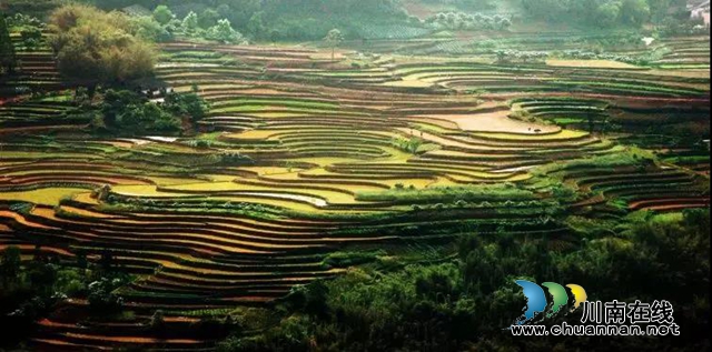 泸州又新增了5个省级“百镇建设行动”试点镇!(图5) 泸州又新增了5个省级“百镇建设行动”试点镇!(图5)