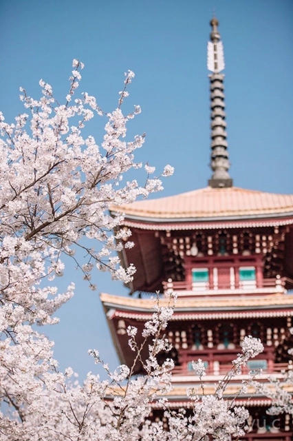 【西南医大中医院•科普】惊蛰来了，病菌又将活跃(图7)