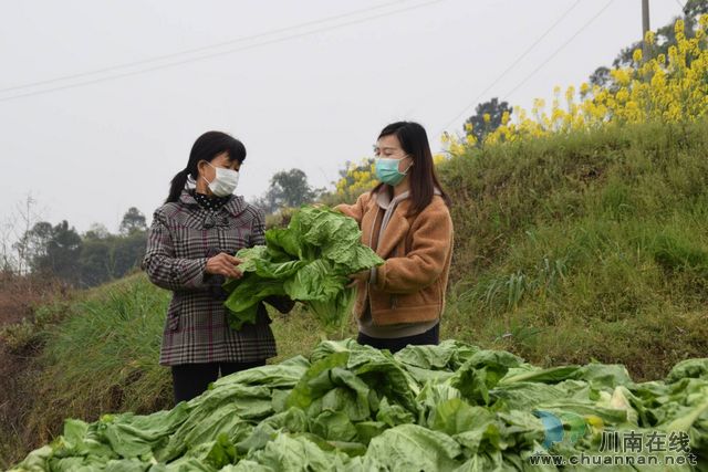 疫情战线见担当 扶贫路上砺青春(图5)
