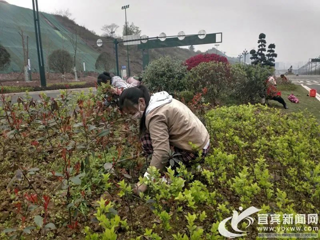 好消息！金沙江大道二期预计4月底竣工，连接南岸西区至绕城高速(图2)
