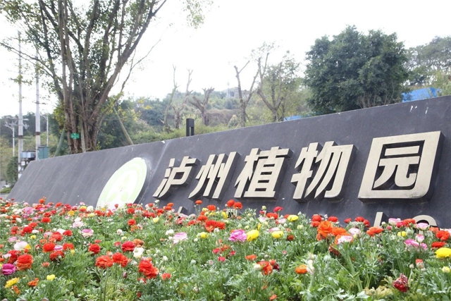 每日限500人次 ，泸州植物园恢复开园！(图1)