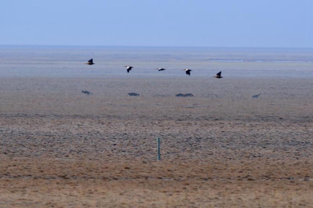 为有源头活水来——四川藏区筑牢生态安全屏障(图8) 为有源头活水来——四川藏区筑牢生态安全屏障(图8)